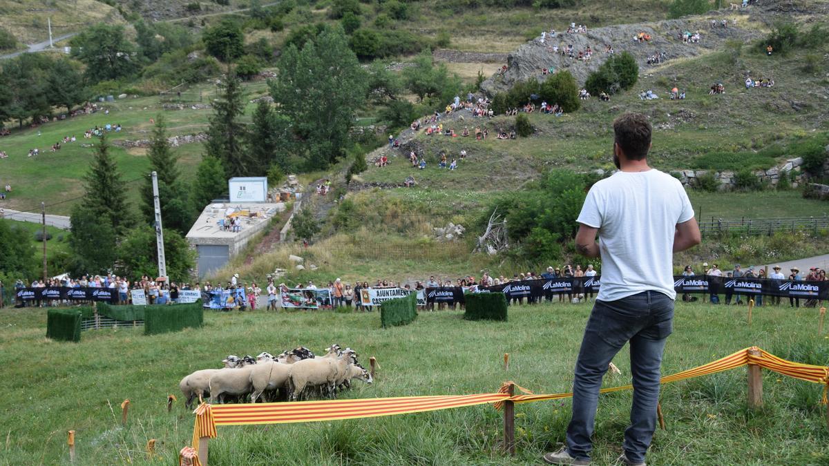 El 57è concurs de gossos d'atura de Castellar de n'Hug