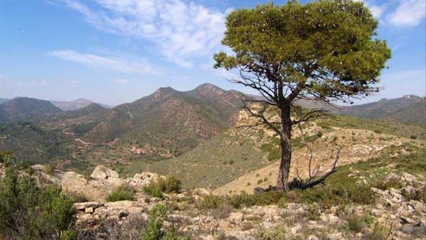 Las nueve áreas de la Calderona que tendrán limitado el acceso a vehículos