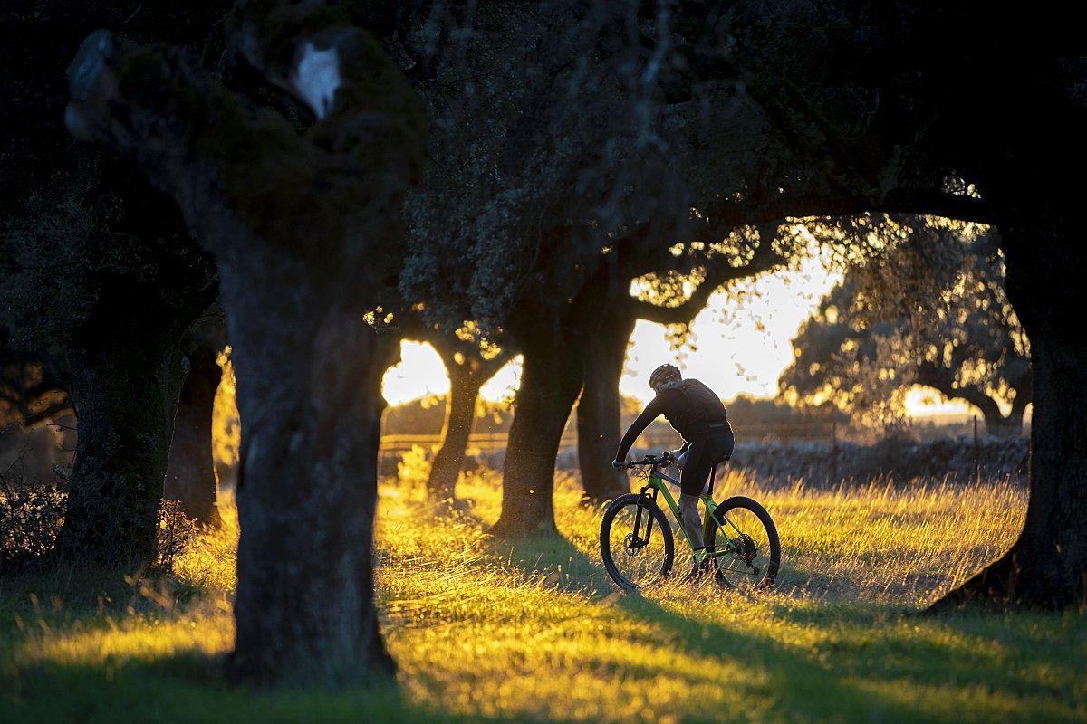 Una persona montando en bicicleta a través del campo.