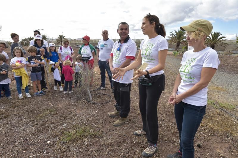 24-11-2019 TELDE. Plantación para nuevo jardín en un terreno junto a la rotonda de la playa de Melenara  | 24/11/2019 | Fotógrafo: Andrés Cruz