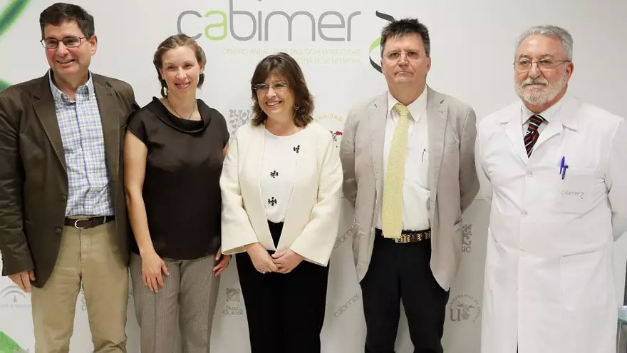 Diseñan un fármaco capaz de frenar la diabetes tipo 1