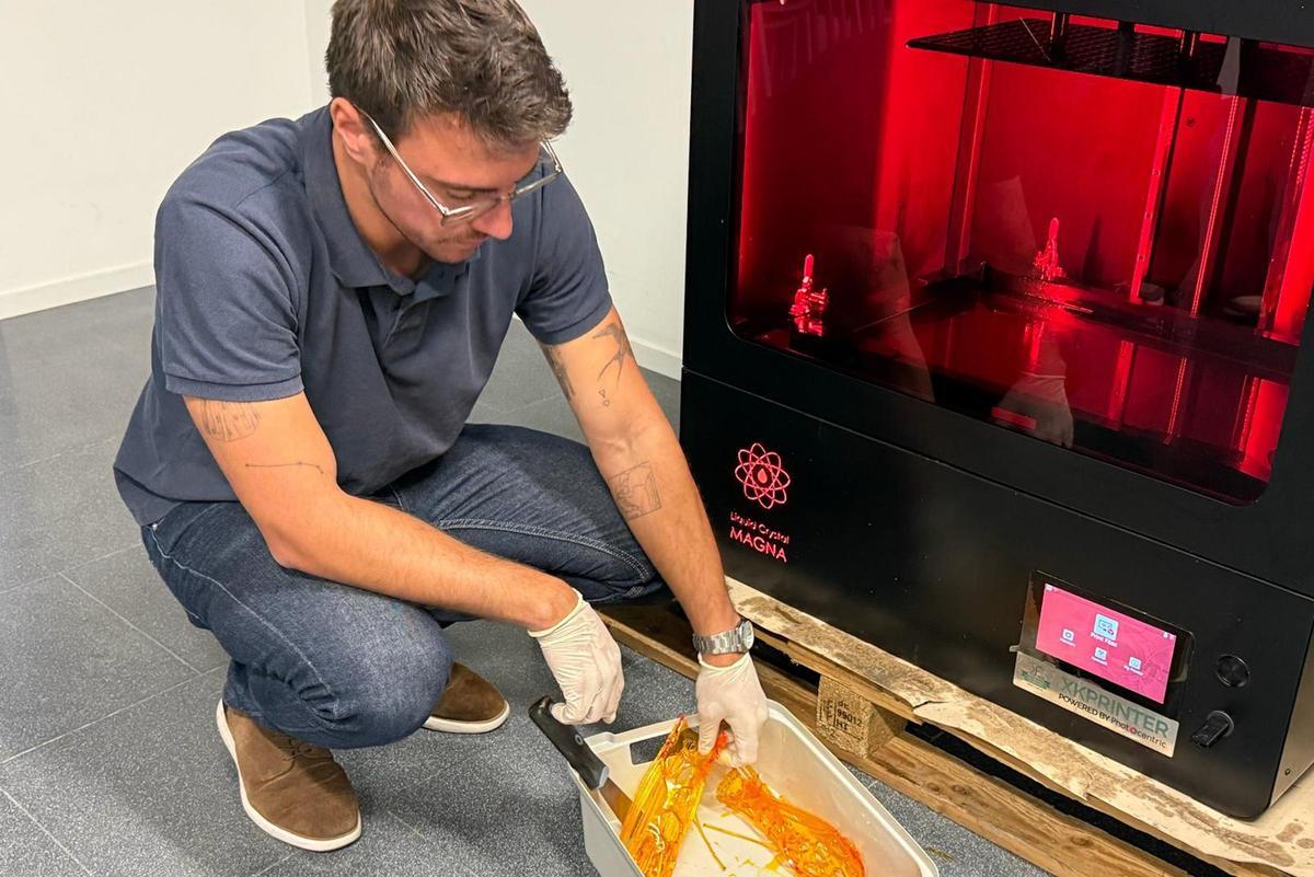 Les imatges de l'estudi de les fèrules impreses en 3D