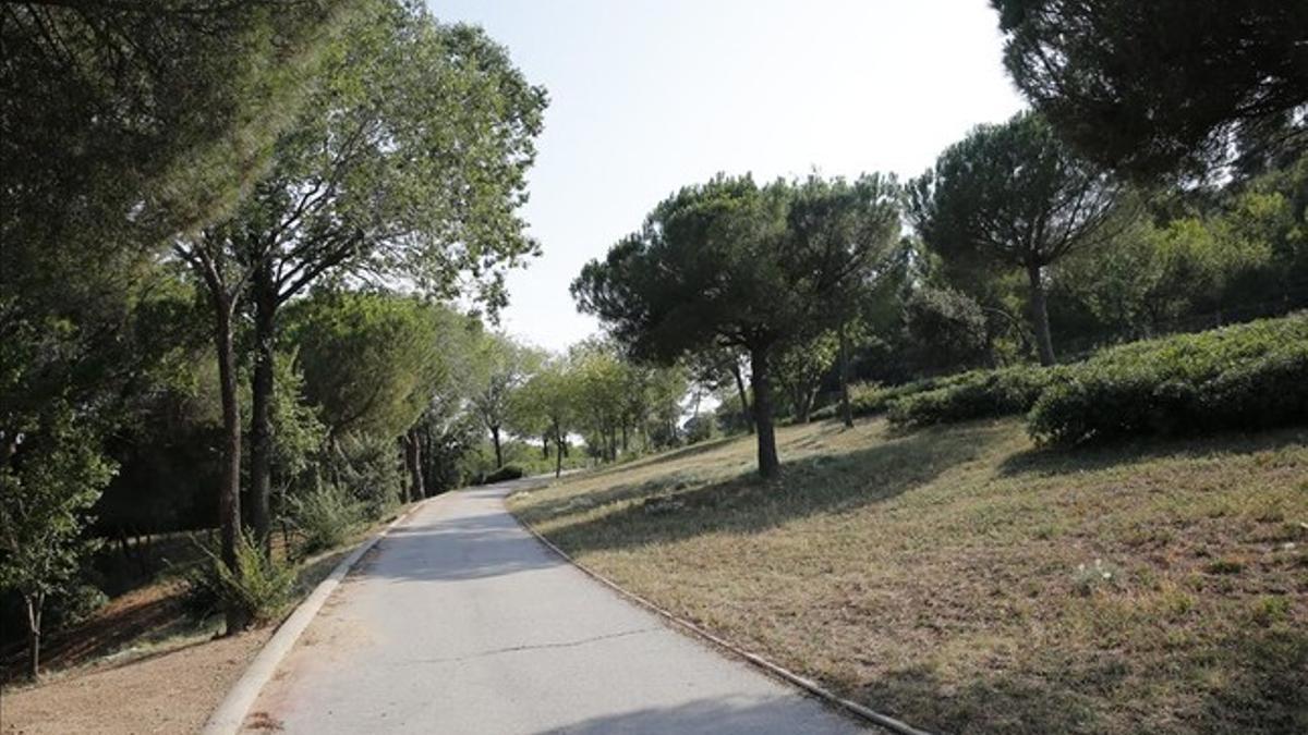 Terrenos llenos de árboles junto al parque de la Oreneta en los que se preveía construir pisos de alto nivel.