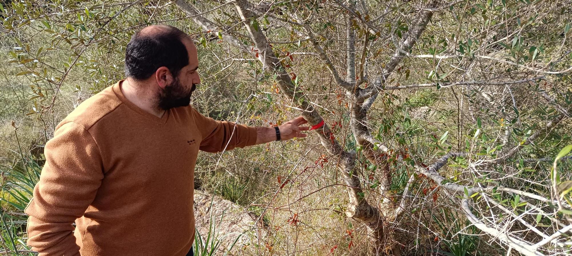 Agricultura | El proyecto de 'Boiet orgànic', en imágenes