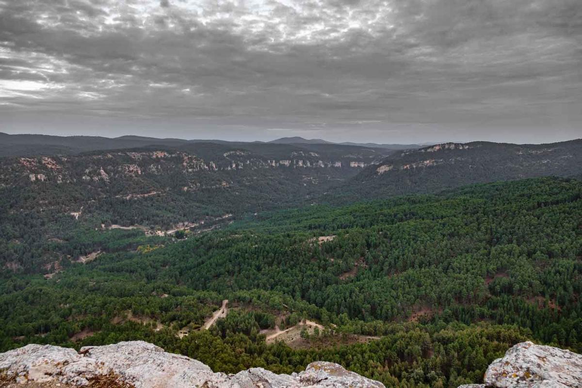 Parque experimental de El Hosquillo, Cuenca