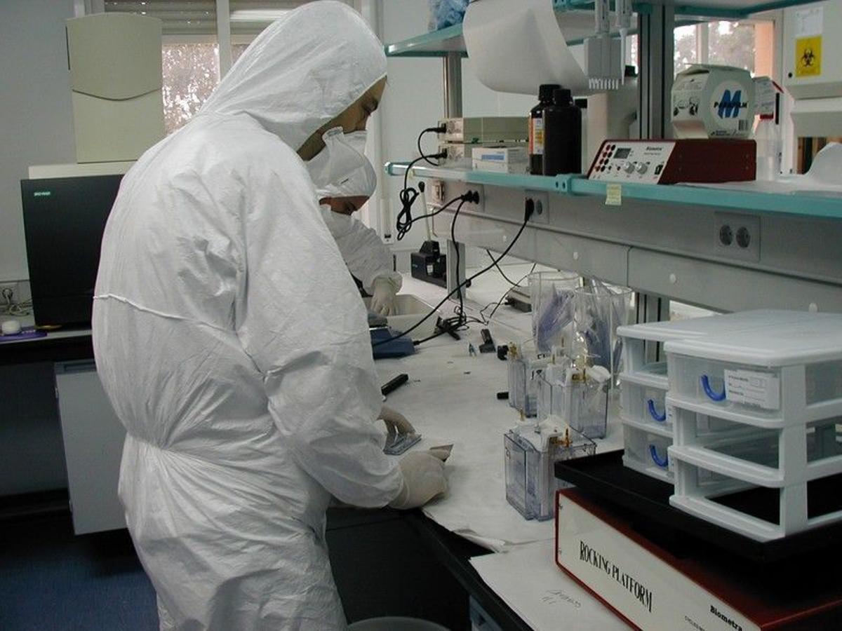 Investigador del IVIA en uno de los laboratorios, en una imagen de archivo.