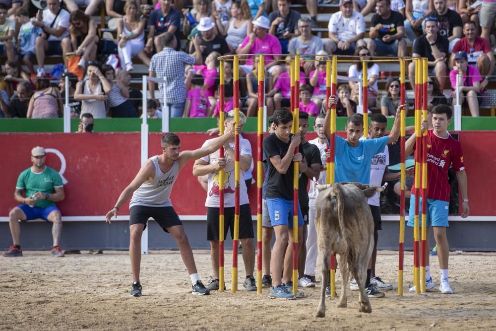 Vidreres celebra els correbous entre les protestes dels animalistes