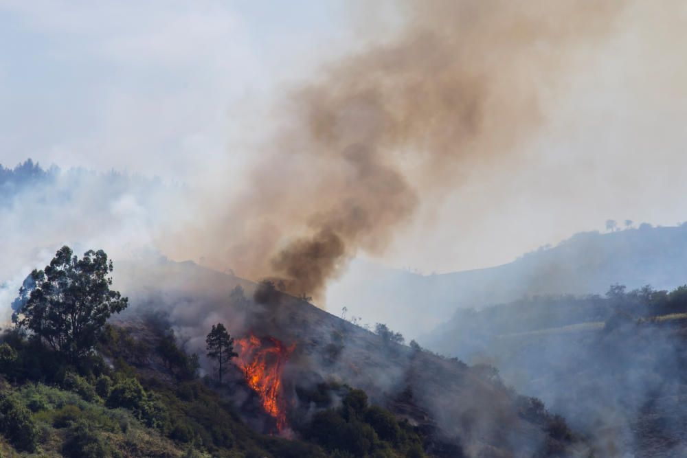 Las imágenes del gran incendio en Gran Canaria