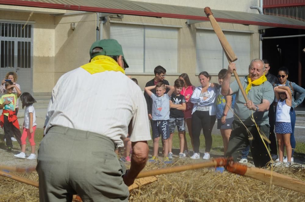 Aprendiendo a mallar el trigo