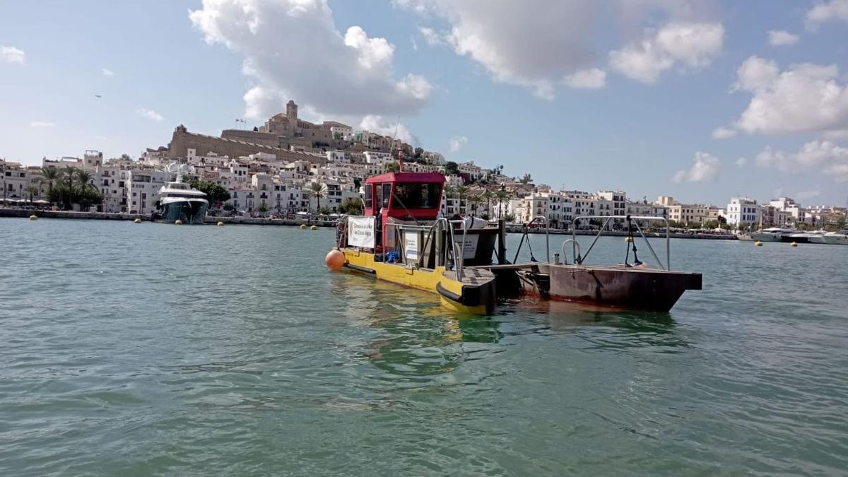 Las embarcaciones trabajan en el puerto de Ibiza