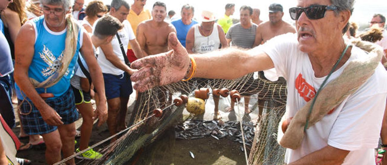 Un momento de la recogida del pescado en la orilla de la playa de Melenara.