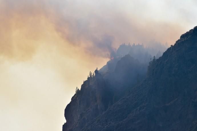 10-08-2019 ARTENARA. Incendio en la cumbre de Gran Canaria  | 10/08/2019 | Fotógrafo: Andrés Cruz