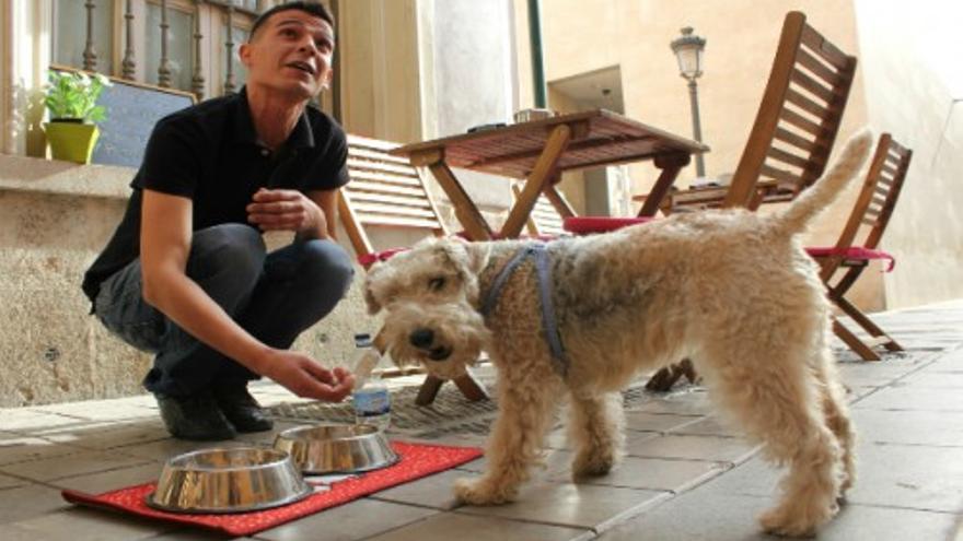 Así es el menú para perros en un bar de Valencia