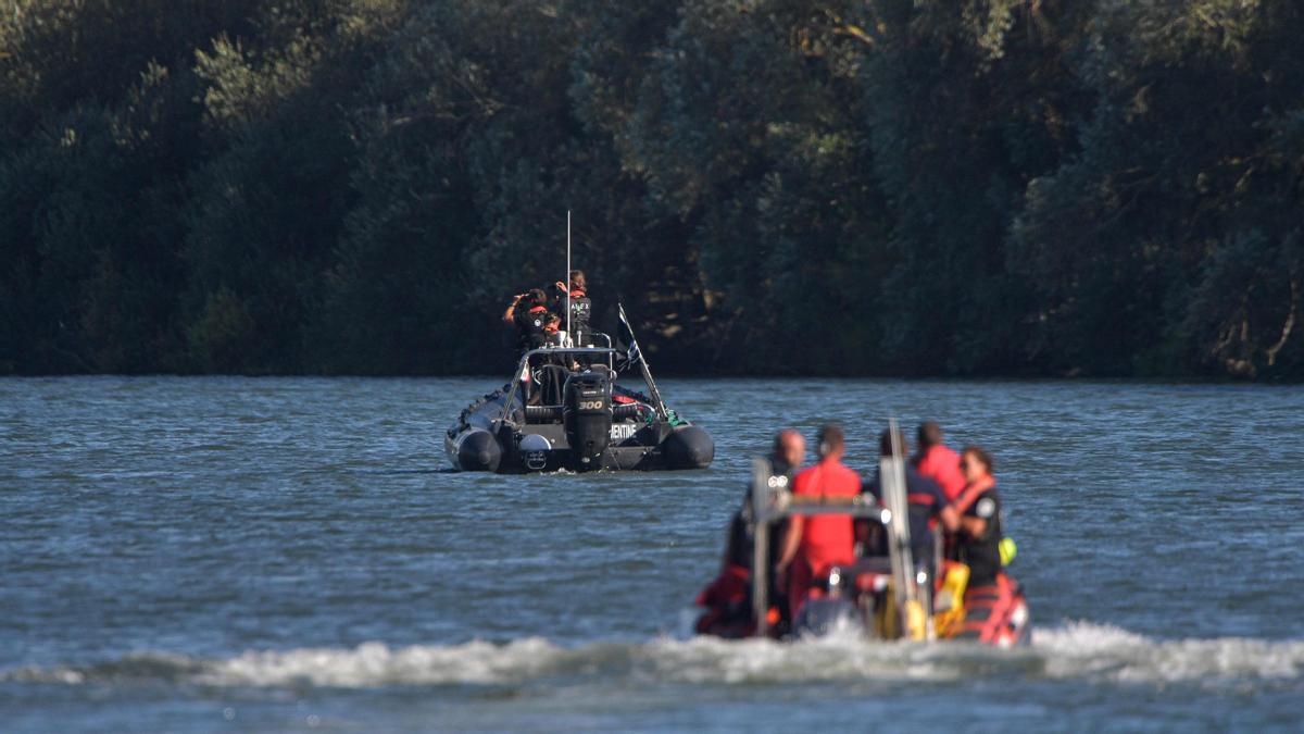 Operativo de búsqueda de una ballena beluga extraviada en el río Sena