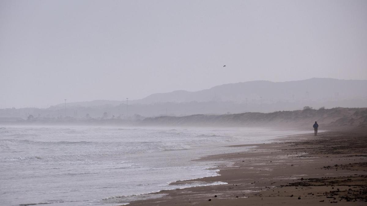 Una imagen de la playa de La Marina