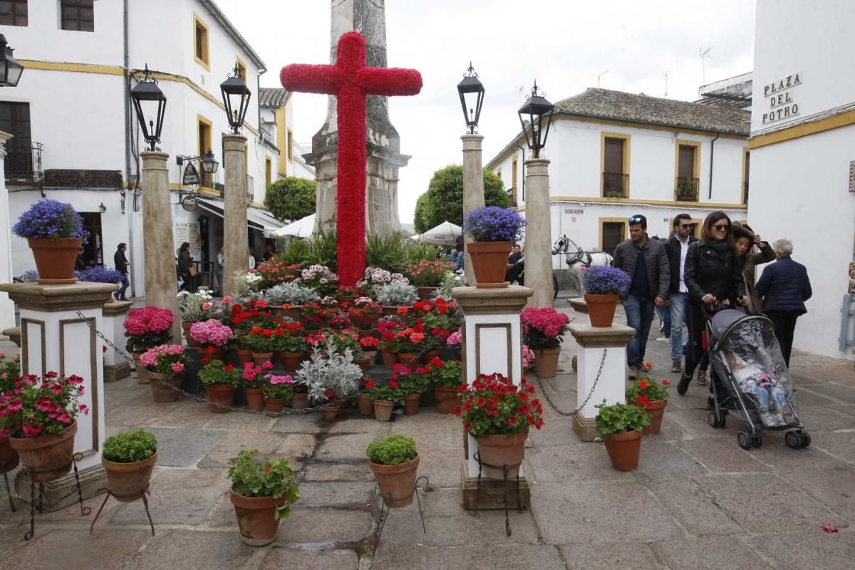 Las cruces, en la recta final