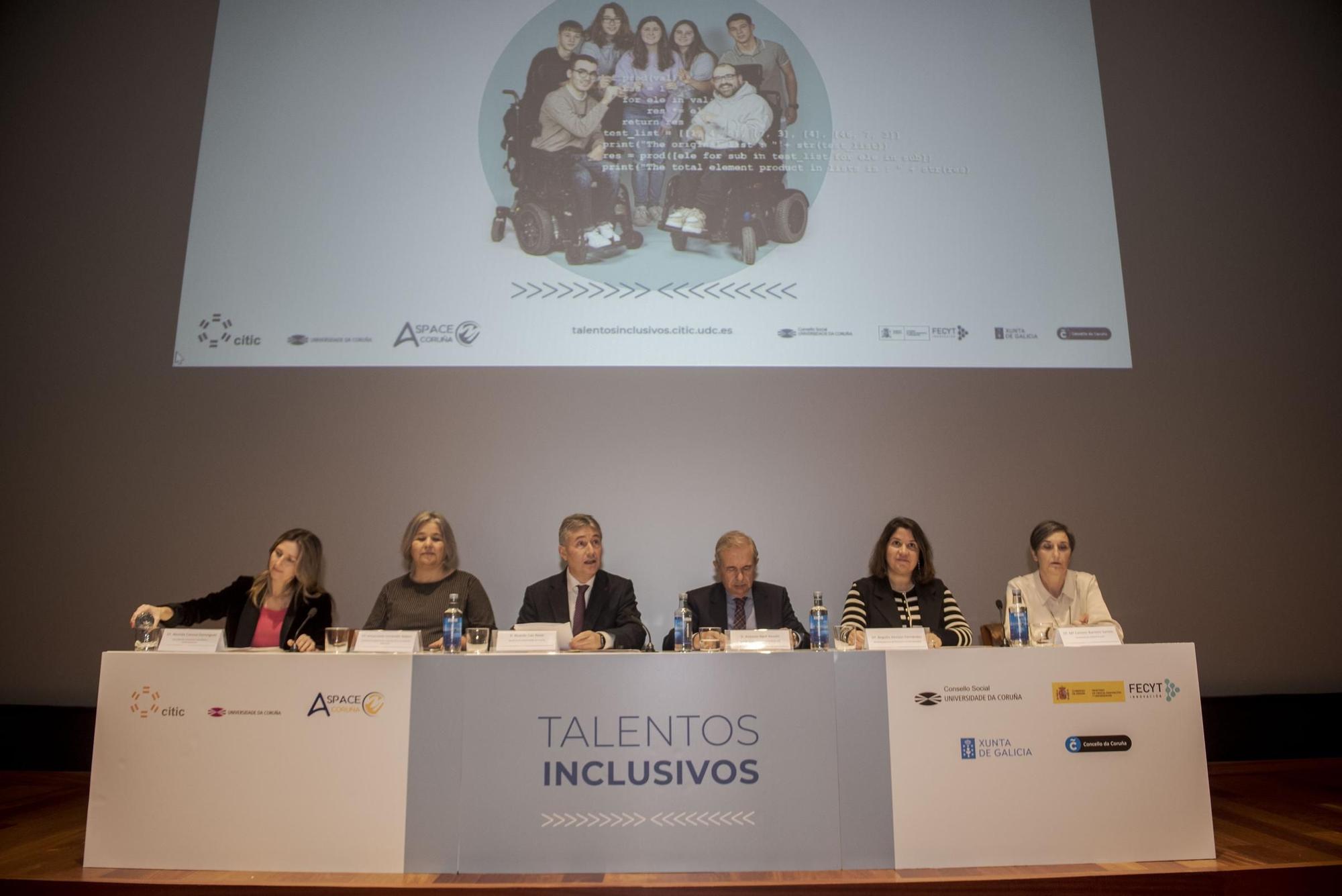 IV Programa Educativo Talentos Inclusivos