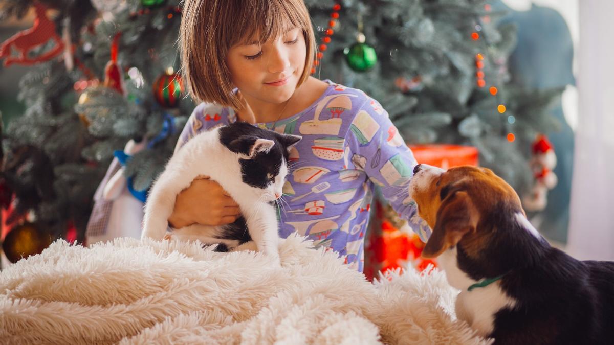 Las razas de perro más amigables con los niños.