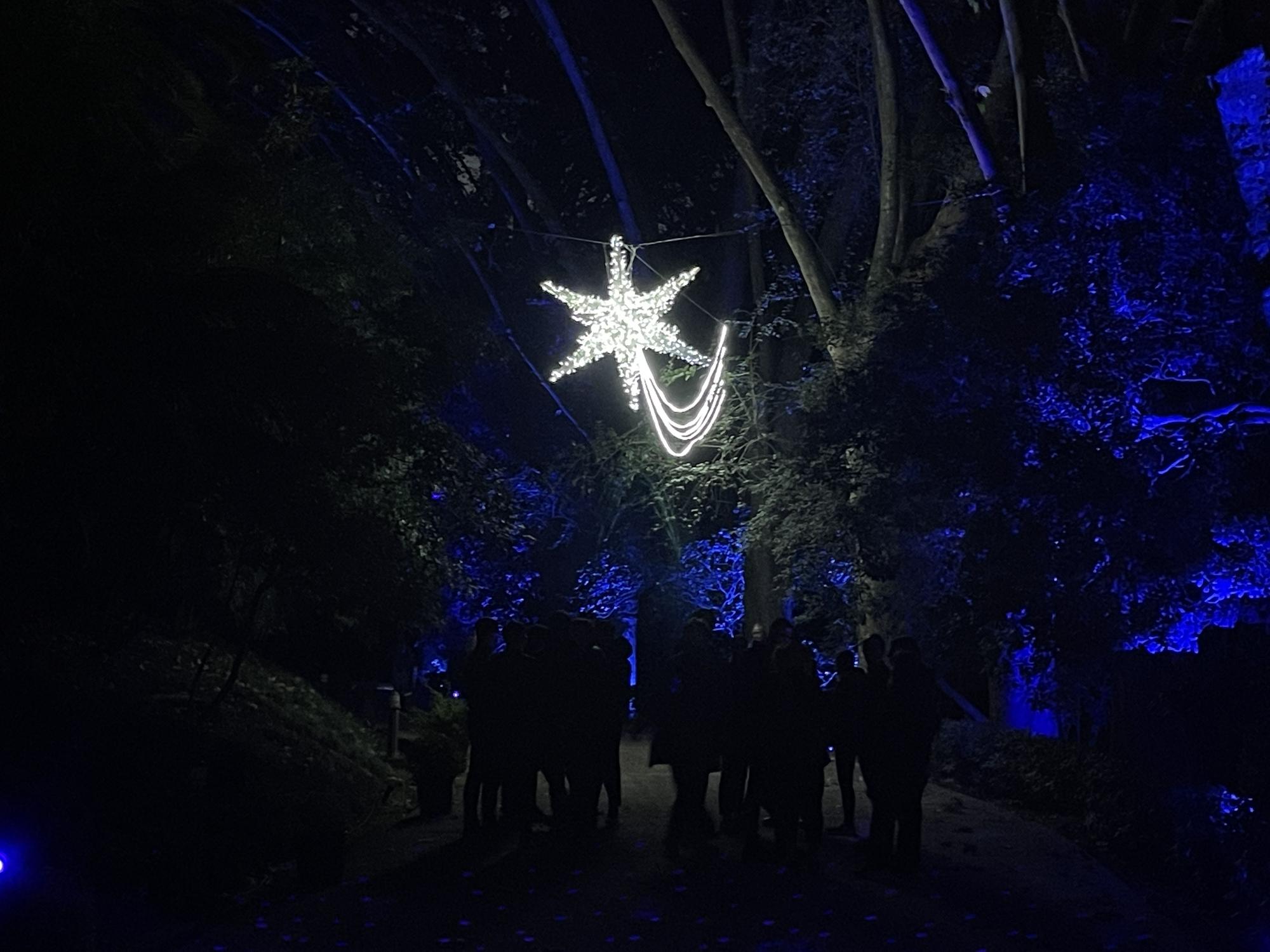 El Jardín Botánico Histórico La Concepción enciende sus luces de Navidad