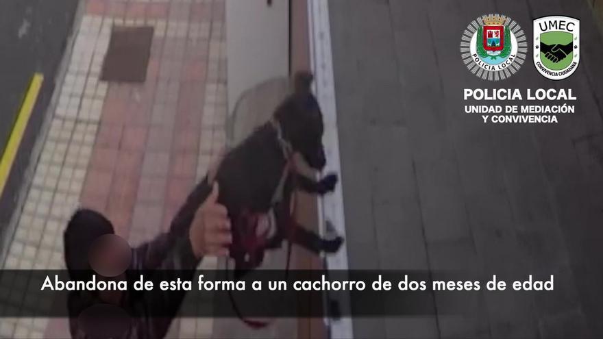 Un hombre abandona un cachorro en Las Palmas de Gran Canaria
