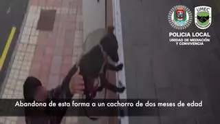 Un hombre abandona un cachorro en Las Palmas de Gran Canaria