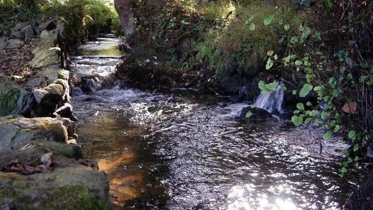 Vista del río Sisalde, en el paraje natural de Arteixo.