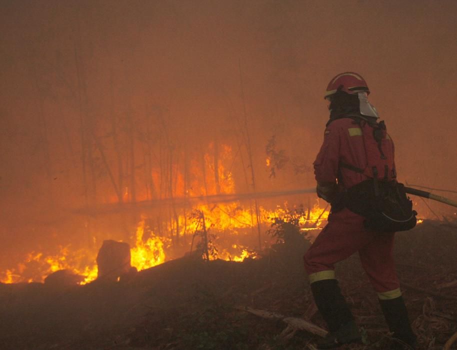 La ola de incendios forestales alcanzan a Santiago