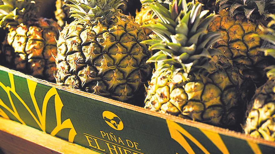 En busca del ‘rubí’ tropical en El Hierro