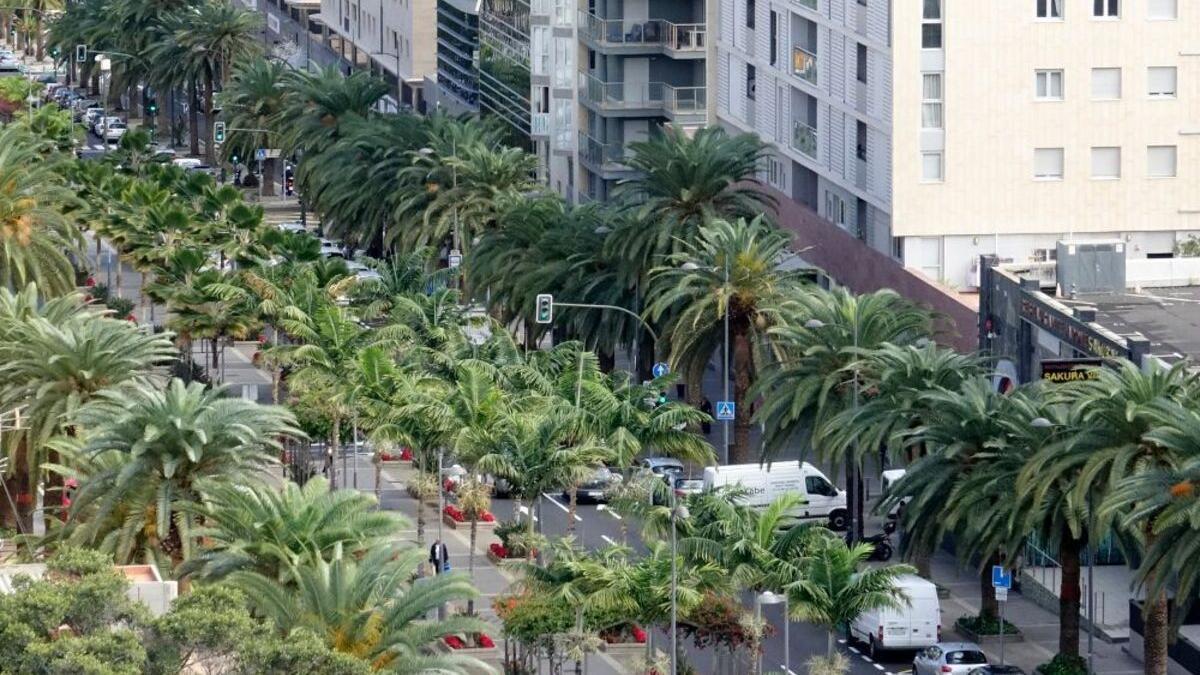 Avenida Tres de Mayo, en Santa Cruz de Tenerife