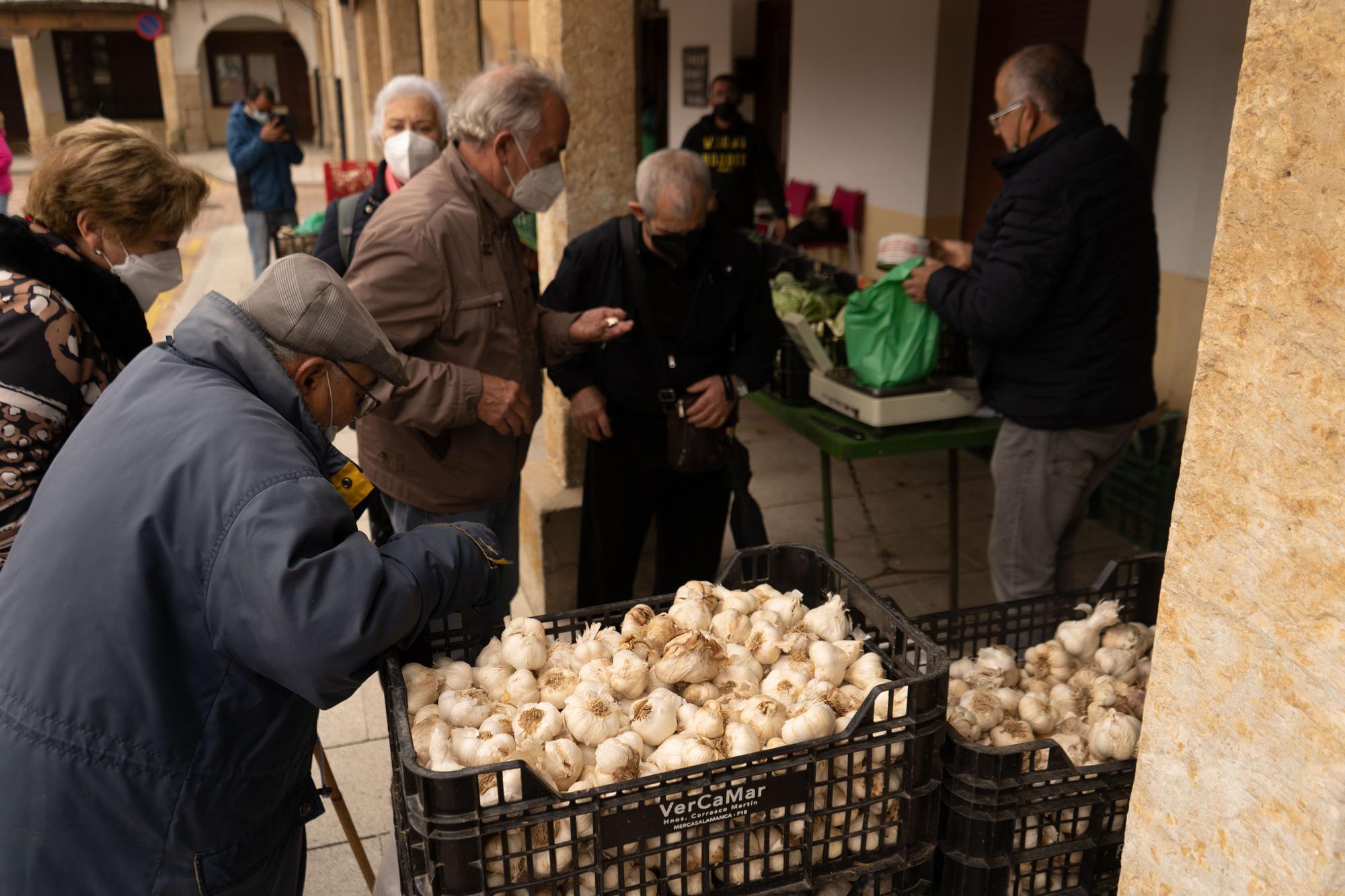 GALERÍA | Feria de los Santos de Fuentesaúco