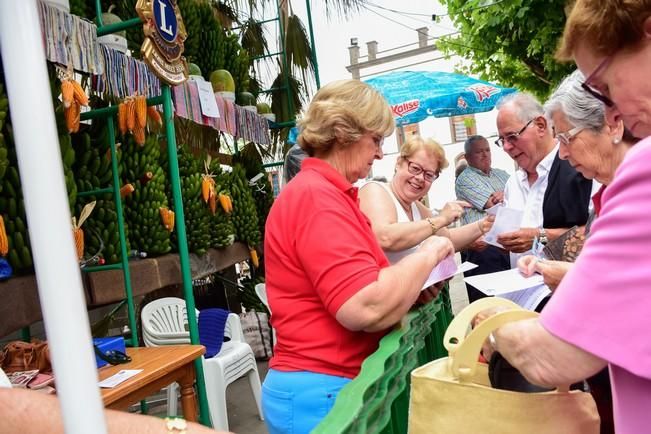 Fiestas de San ROQUE en Firgas