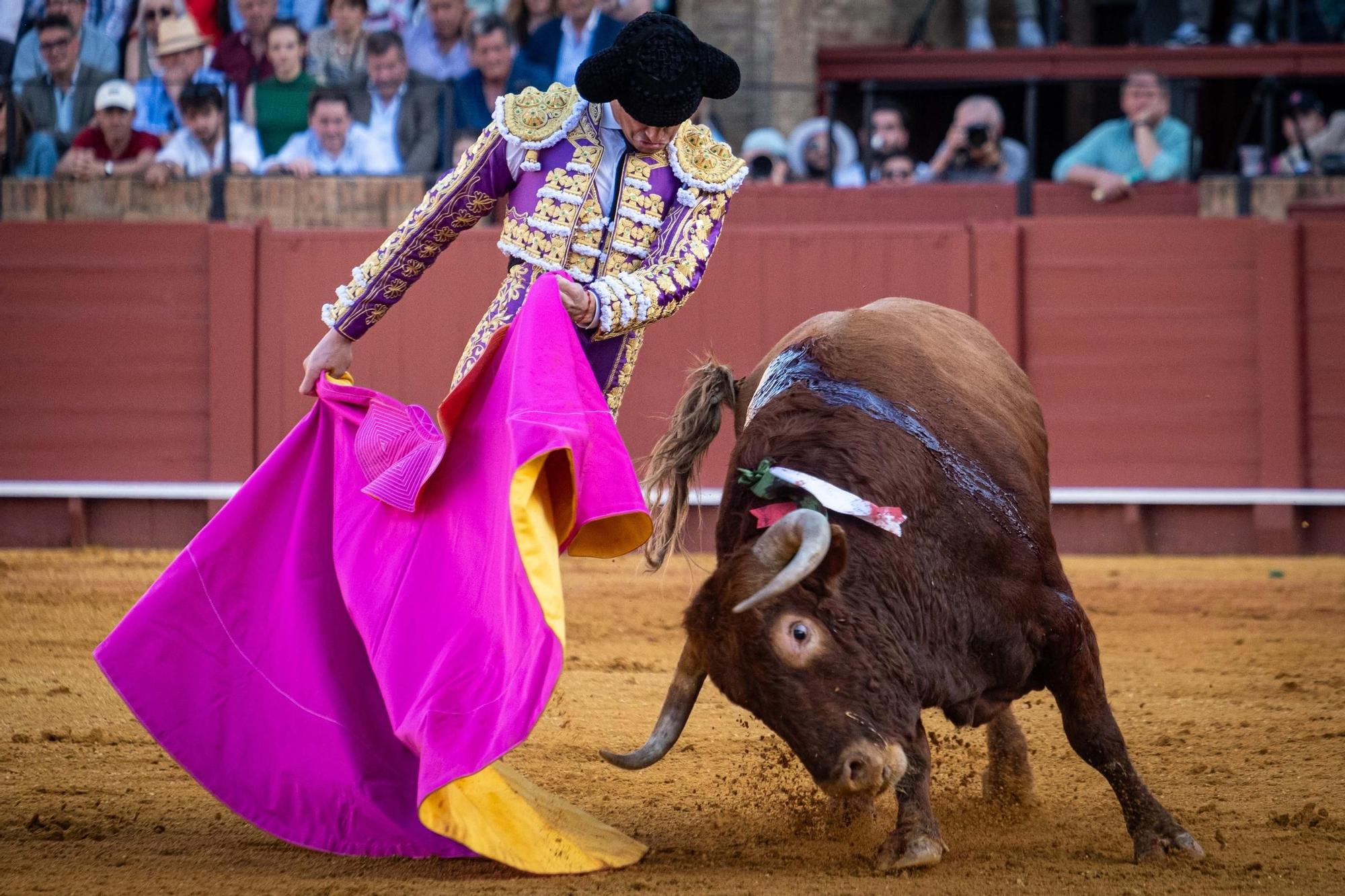 Luque brilló también con el capote.