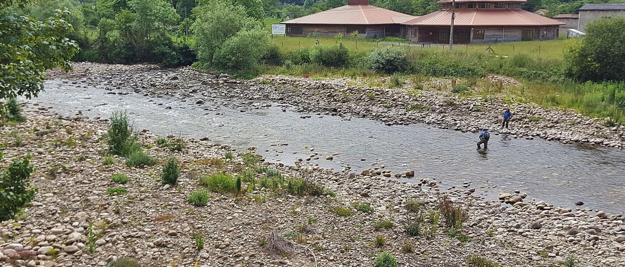 El falta de caudal mata parte de los alevines del centro de cría de la trucha