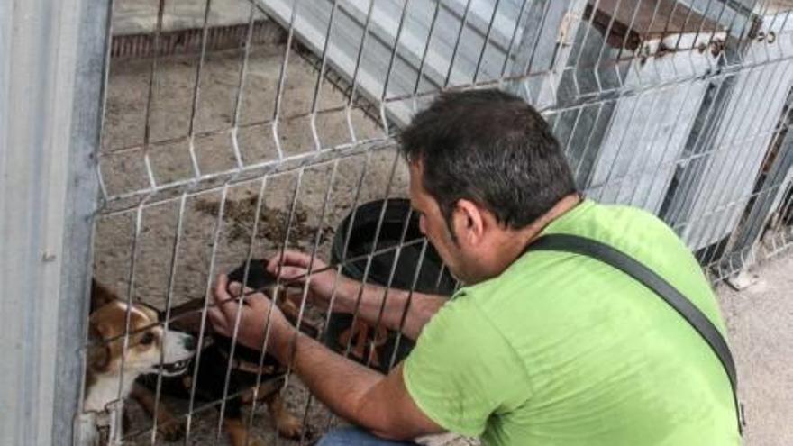 Treinta voluntarios mejoran las condiciones de la perrera