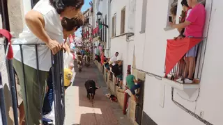 La alcaldesa de Coria alaba la seguridad y la coordinación en los Sanjuanes 2025