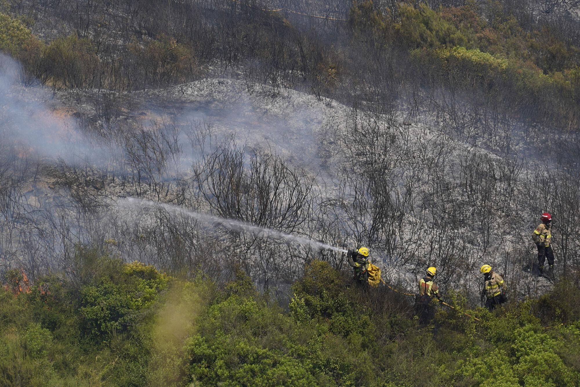 Girona zona boscosa font de la pólvora sant Daniel incendi forestal