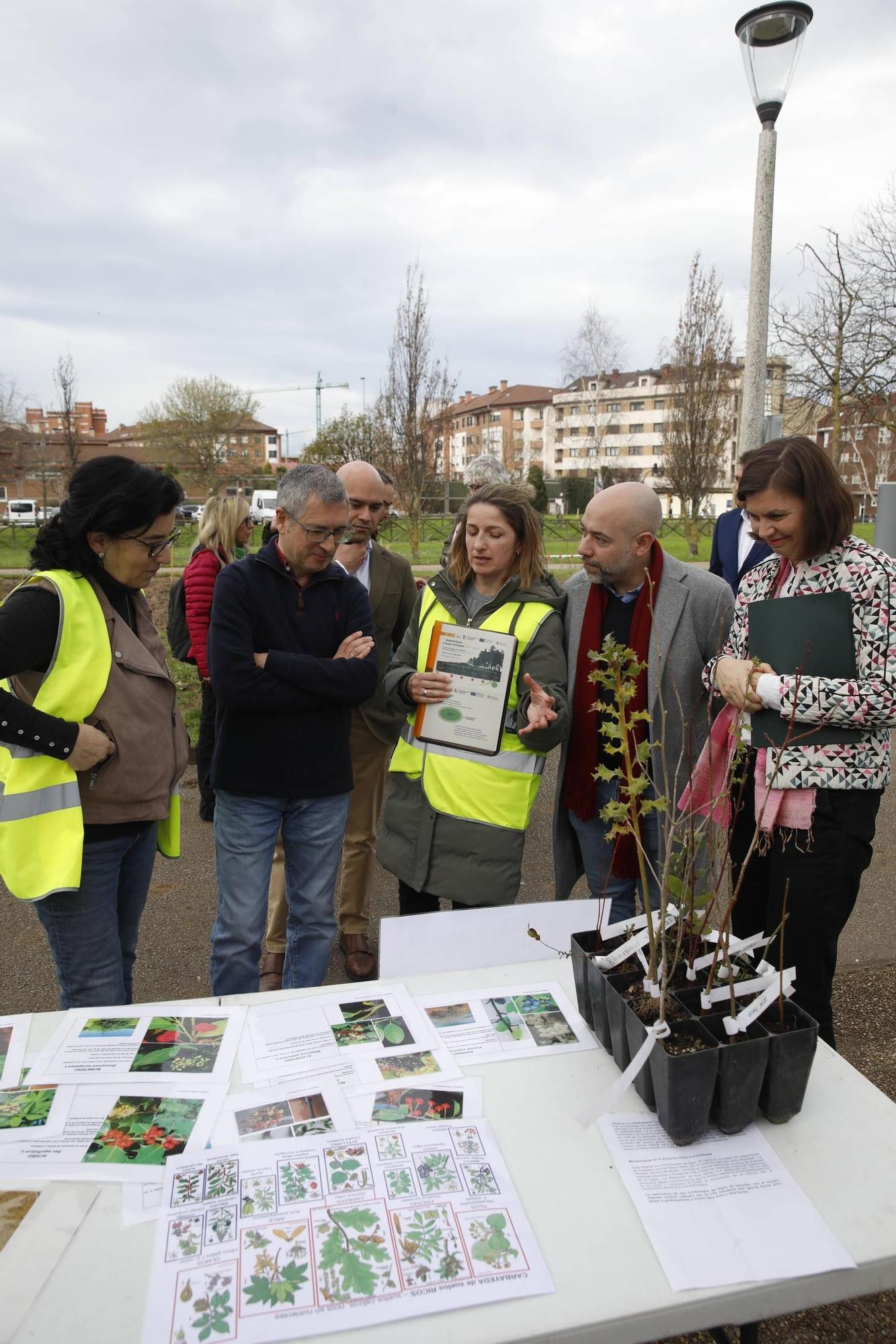 El secretario de Estado Hugo Morán participa en la plantación de minibosques en Gijón (en imágenes)