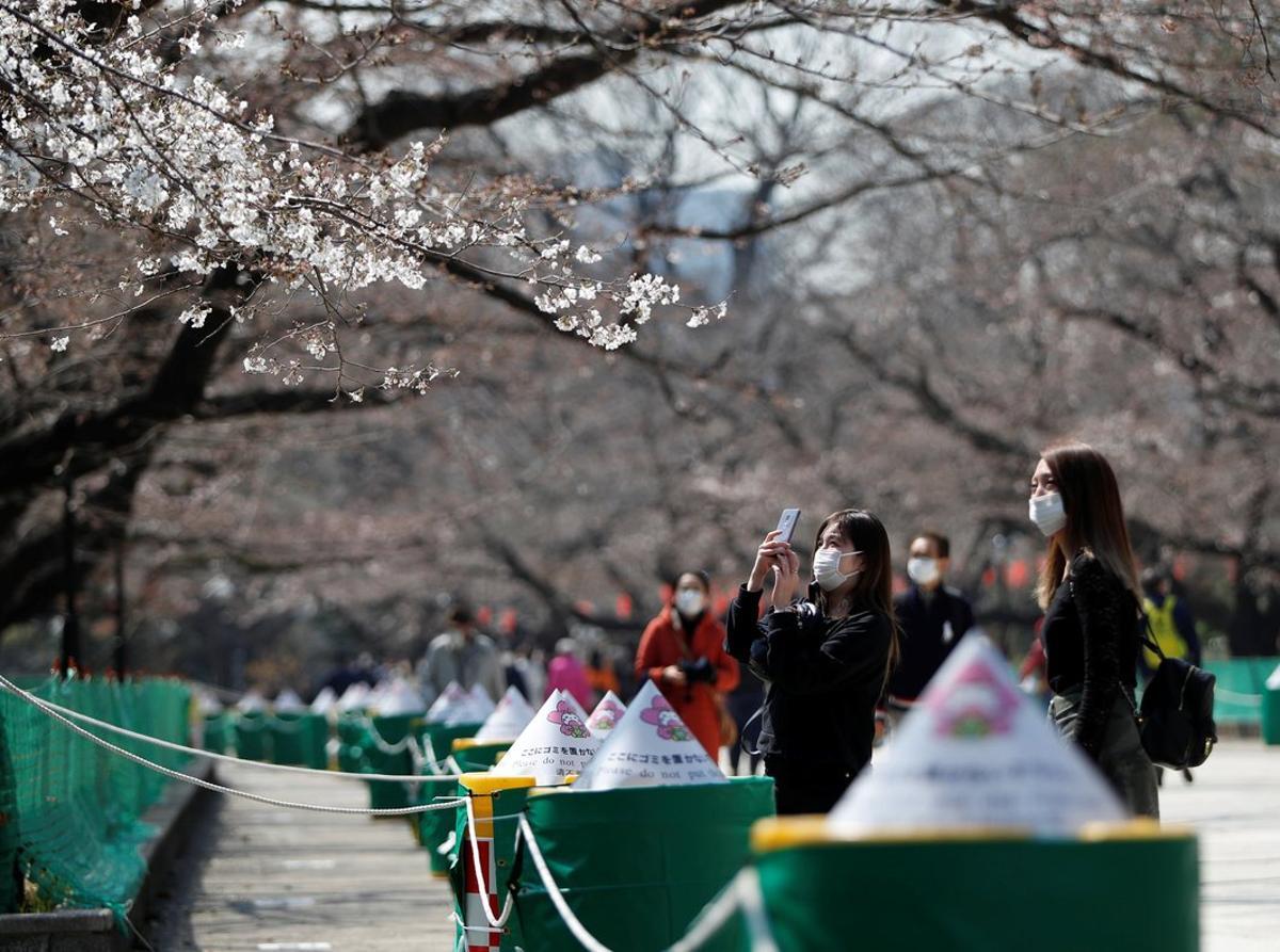 Visitors wearing a protective face masks following an outbreak of the coronavirus disease (COVID-19) look at blooming cherry blossoms next to ropes cordonning off viewing parties at the area at Ueno park in Tokyo, Japan March 19, 2020.  REUTERS/Issei Kato