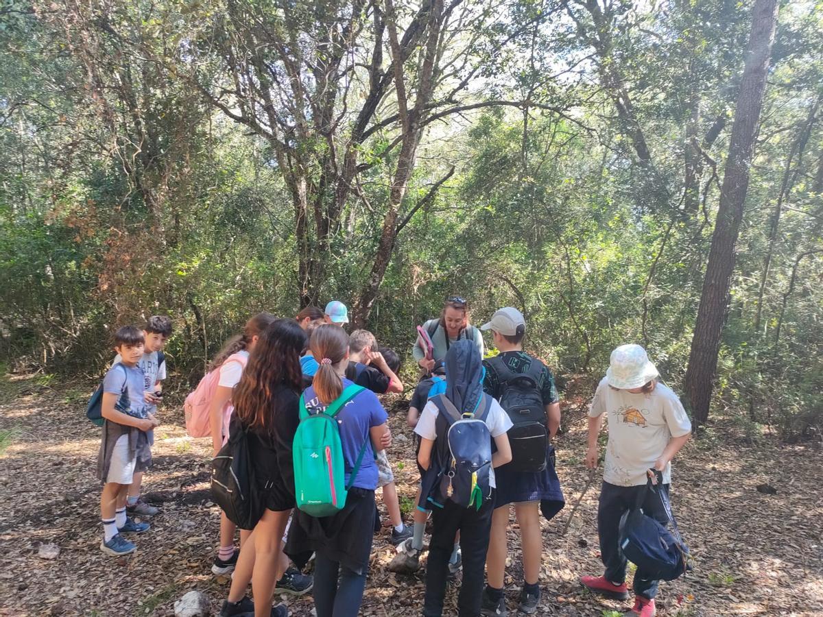 FOTOS | Los escolares se adentran en Ses Fonts Ufanes de la mano de Gadma y Cemex