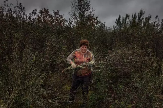 Mujeres en Zamora 8M: la alfarera Mari Carmen Pascual preserva este antiguo y feminizado oficio en Moveros