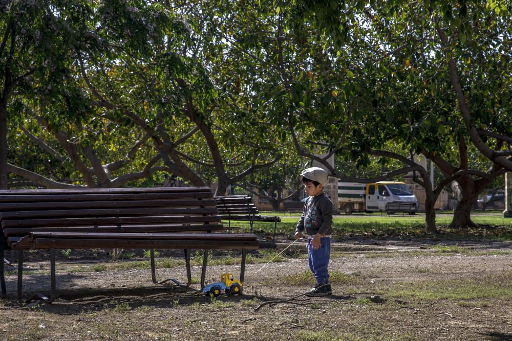 Los parques y las zonas verdes de Palma reabren con “normalidad”