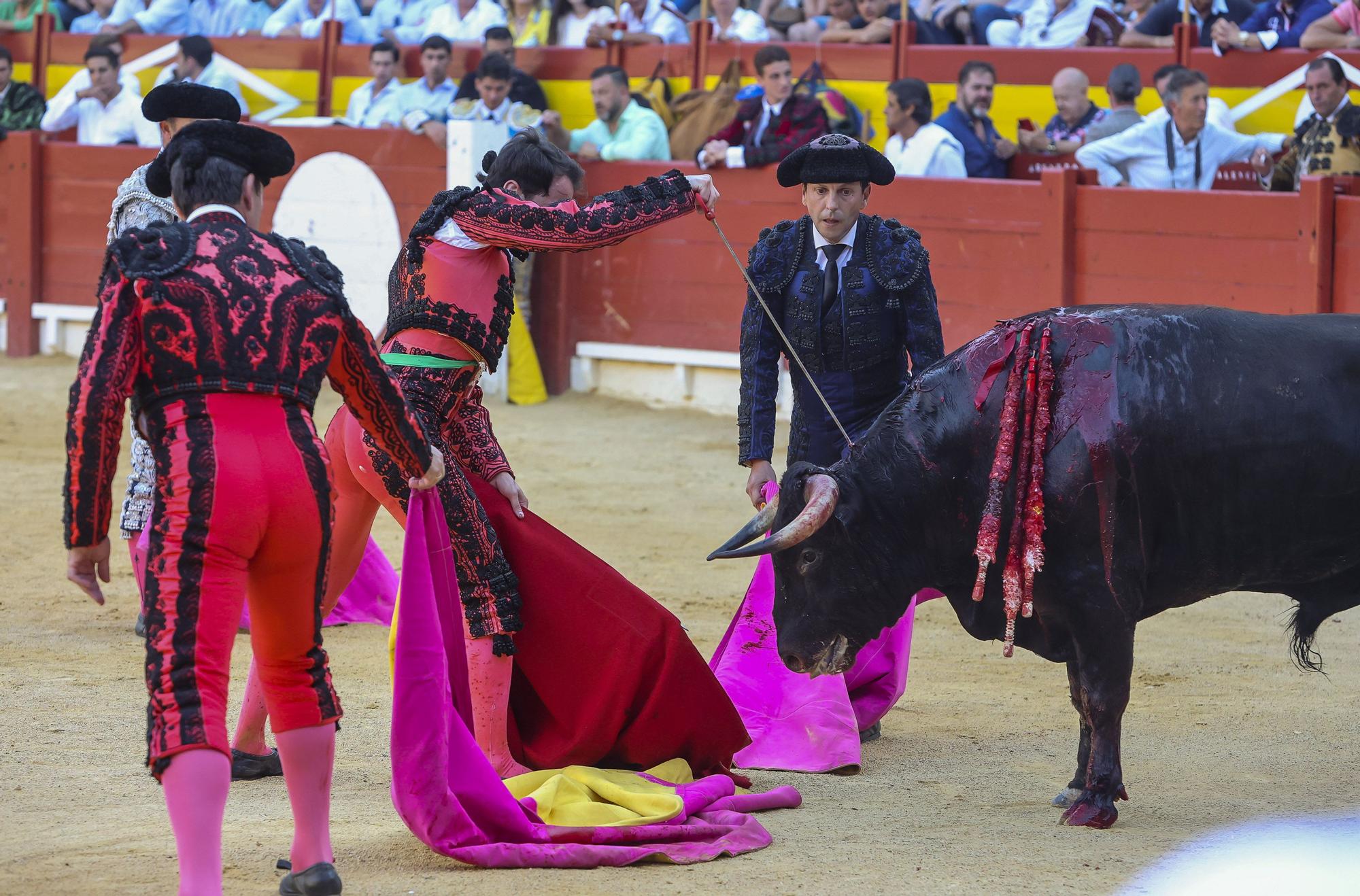 Novillada de Zacarías Moreno para cerrar la Feria de Hogueras