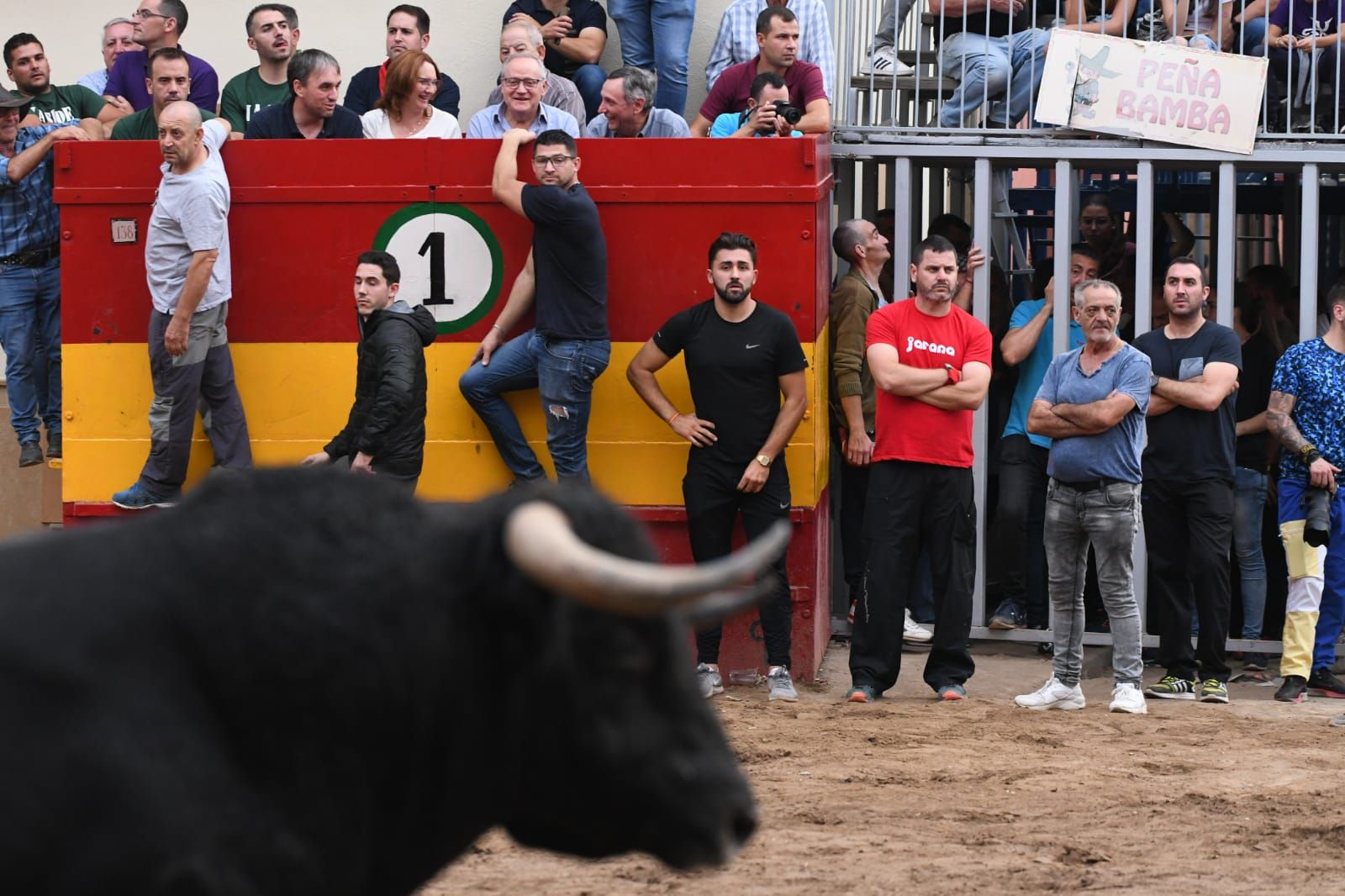 Exhibición de cuatro toros de Partida Resina en Onda