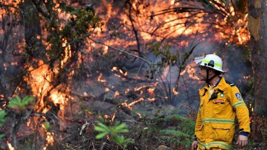 Australia ordena más evacuaciones por incendios que ya han causado 17 muertos