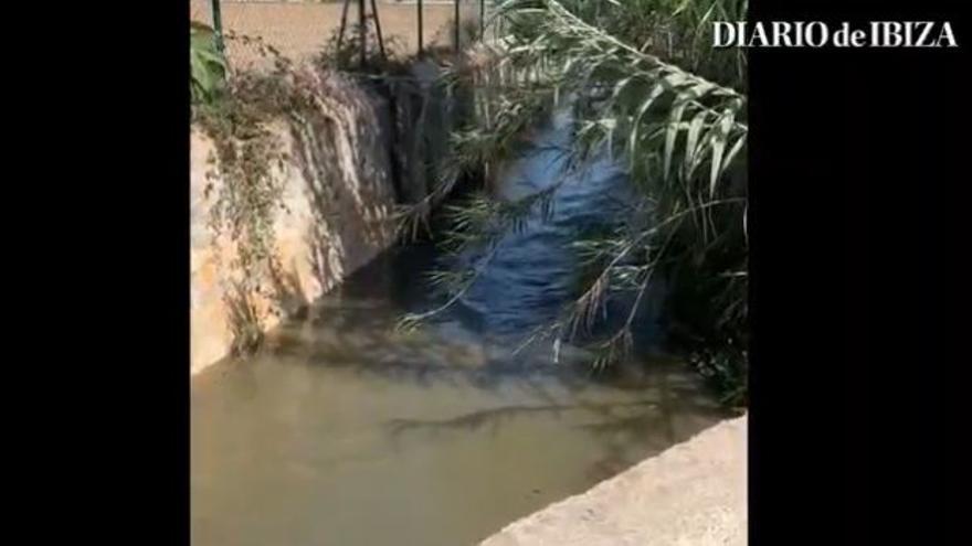 VÍDEO: Vertido de aguas fecales de la depuradora de Ibiza
