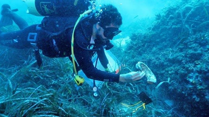 Un arqueólogo con el cuello de un ánfora del siglo III de la carga de un barco romano.