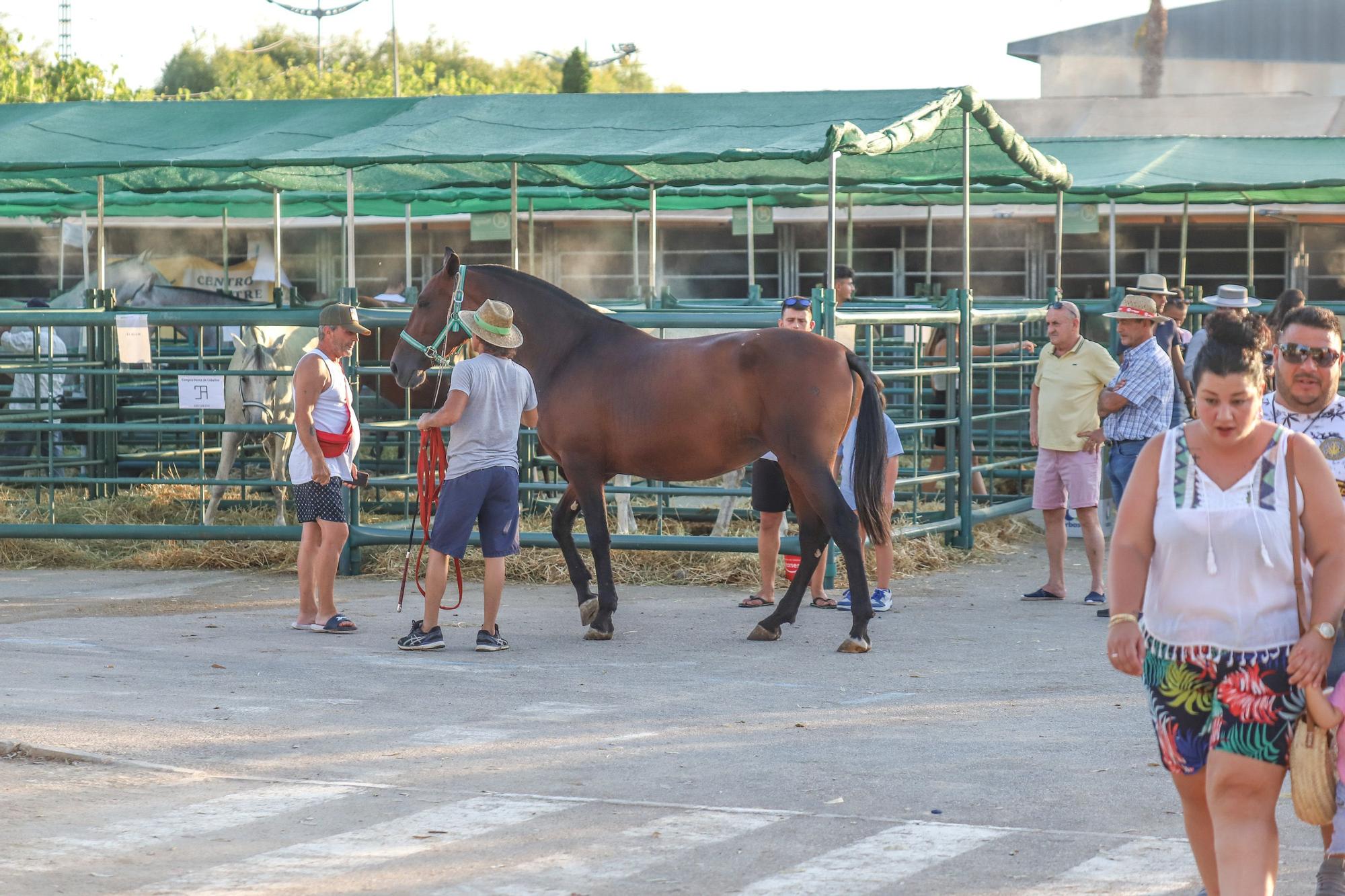 Feria del Ganado Dolores FEGADO 2022