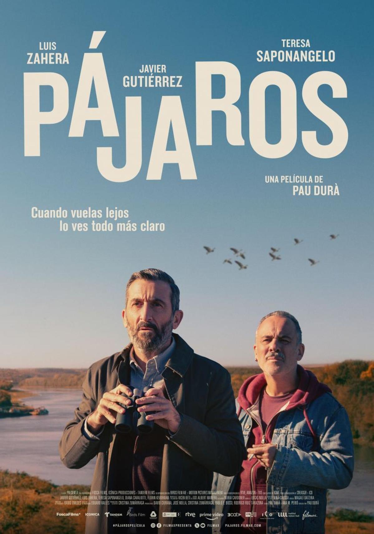 Pájaros.