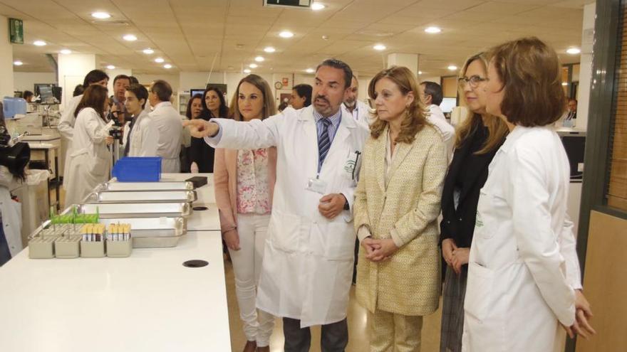 El Reina Sofía robotiza sus laboratorios para mejorar los análisis clínicos