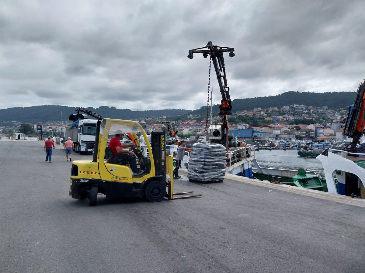 Una maniobra de descarga de un palé de mejillón.